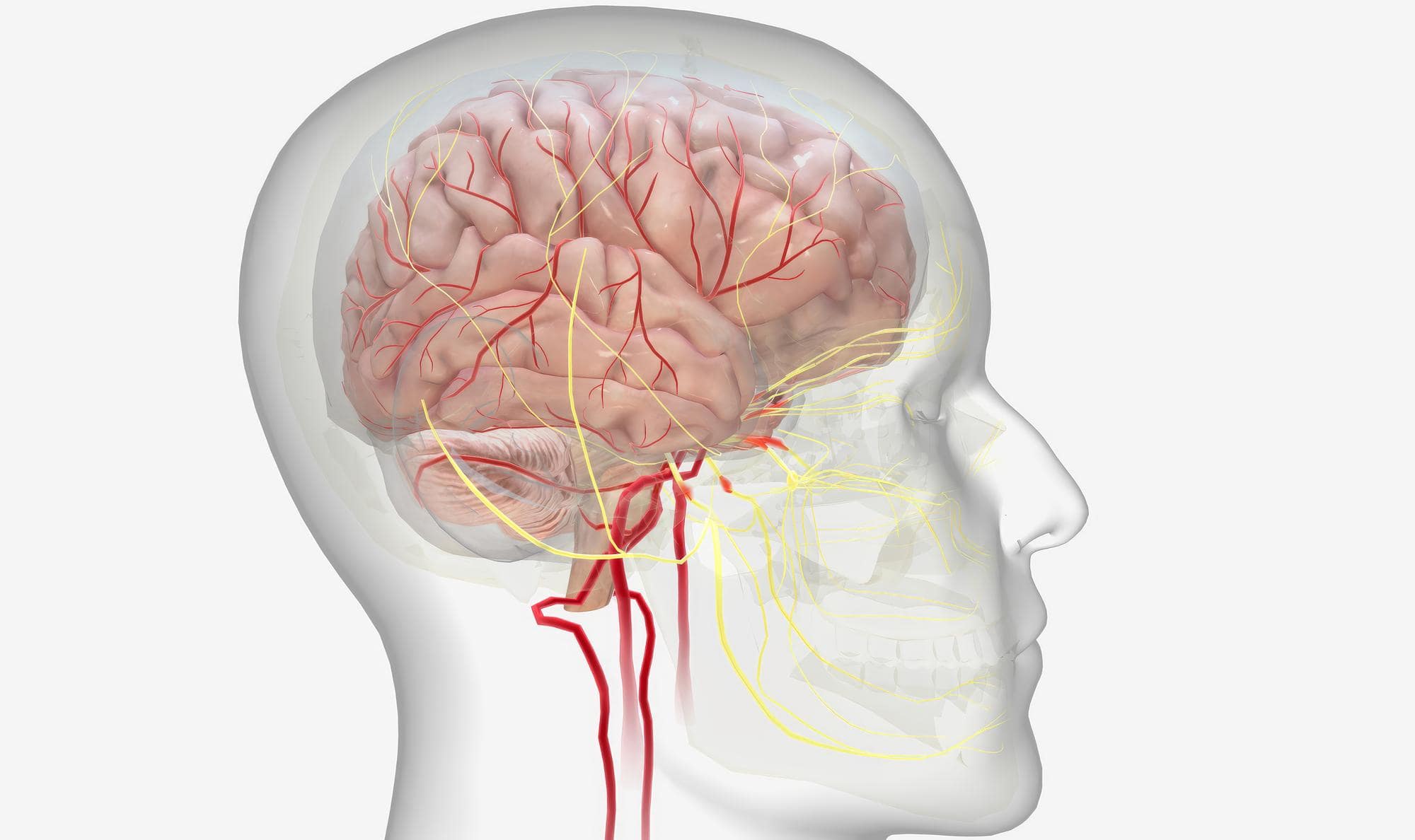 Церебральний атеросклероз лікування